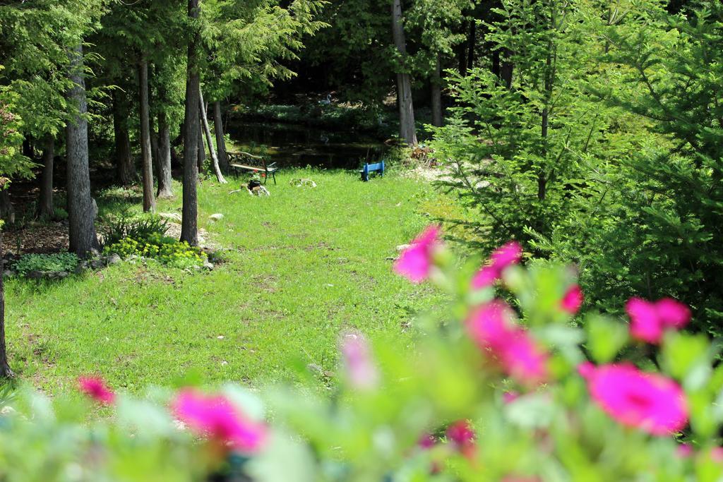 Mellowout B&B Lions Head Exteriér fotografie